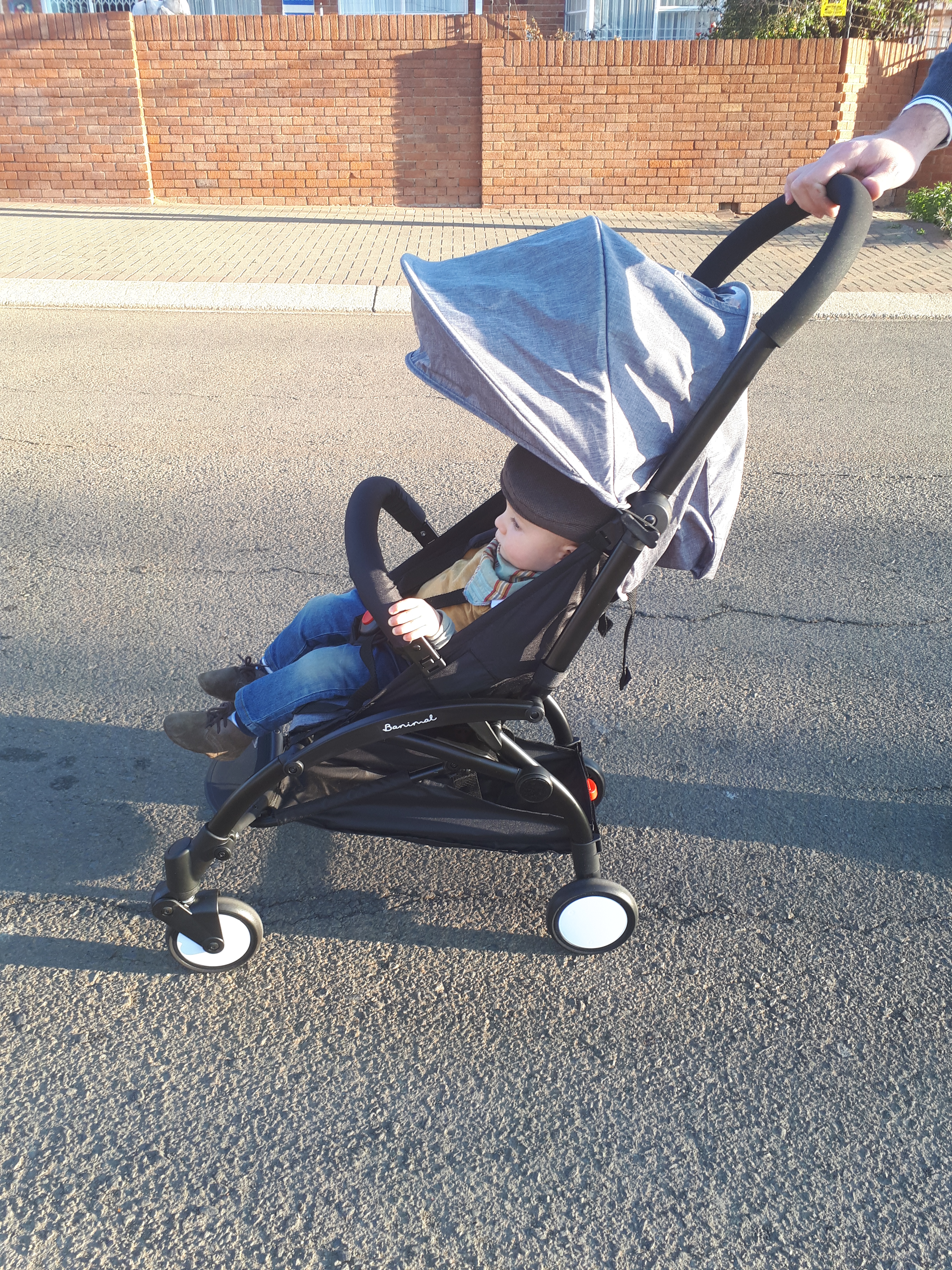 banimal compact stroller review
